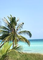 Anaya Koh Rong