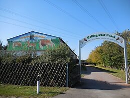 Haflingerhof Noack