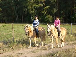 Haflingerhof Noack