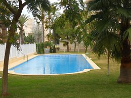 PUERTA PALMAR H2