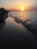 PUERTA PALMAR H2