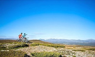 Topcamp Hallingdal - Ål