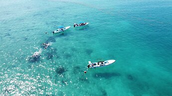 Radhoo Tulum