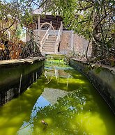 Mida Creek Eco Camp