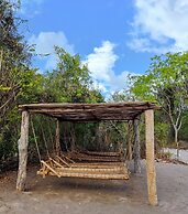 Mida Creek Eco Camp