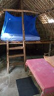 Mida Creek Eco Camp
