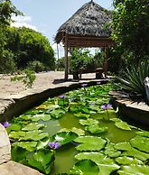 Mida Creek Eco Camp