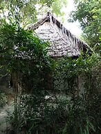 Mida Creek Eco Camp
