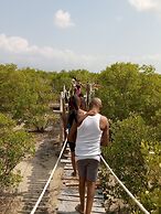 Mida Creek Eco Camp