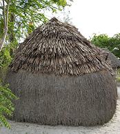 Mida Creek Eco Camp