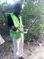 Mida Creek Eco Camp