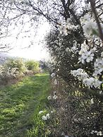 Ferienhaus Apple Tree