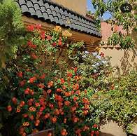 Riad Zouhour
