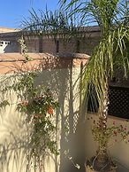 Riad Zouhour