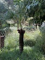 Riad Zouhour