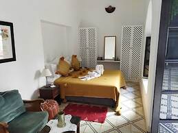 Riad Zouhour