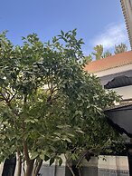 Riad Zouhour