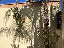 Riad Zouhour