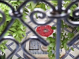 Riad Zouhour