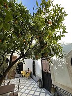 Riad Zouhour