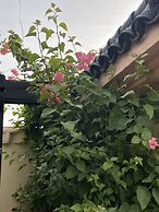 Riad Zouhour