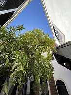 Riad Zouhour