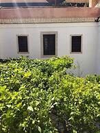 Riad Zouhour