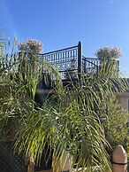 Riad Zouhour