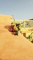 Riad Zouhour