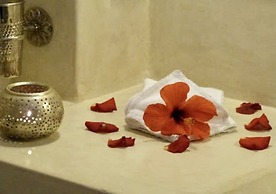 Riad Zouhour