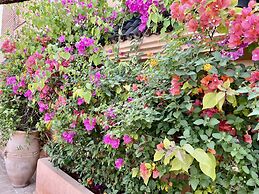 Riad Zouhour