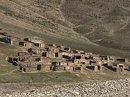 Riad Zouhour