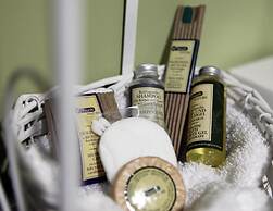 Boutique Hotel Pri Mlyne