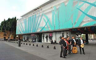 Casa Itzae B&B Polanquito Dog Friendly