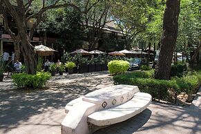 Casa Itzae B&B Polanquito Dog Friendly