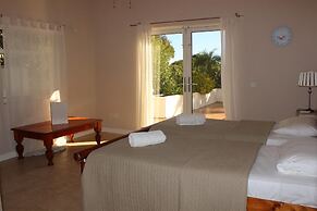Luxury Villa Near Marbella