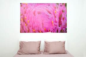 Galeria River