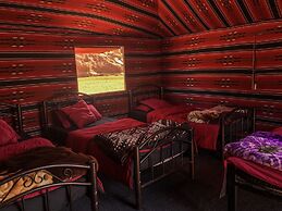 Desert Bird Camp