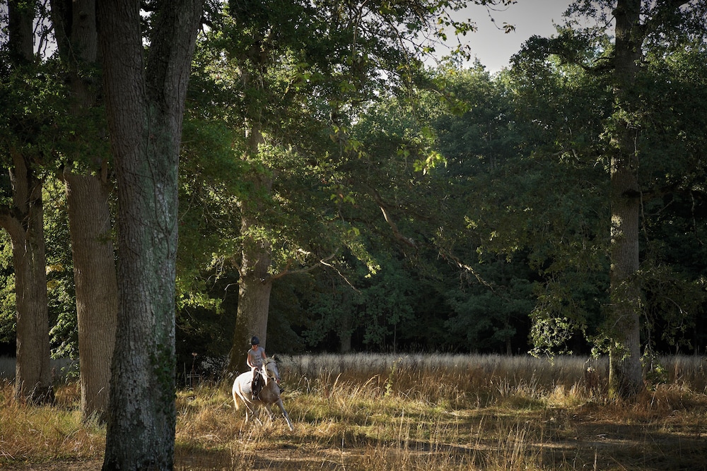 Les Sources de Cheverny