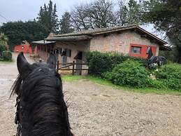 Tenuta I Mandorli