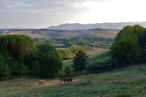 Tenuta I Mandorli