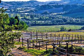 Tenuta I Mandorli