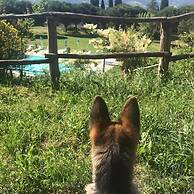 Fattoria di Cintoia