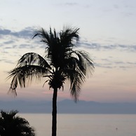 ONDA Surf Hotel