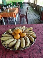 lupuna jungle tours and expeditions