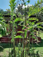 lupuna jungle tours and expeditions