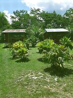lupuna jungle tours and expeditions