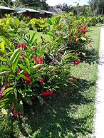 lupuna jungle tours and expeditions