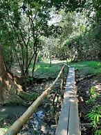 lupuna jungle tours and expeditions