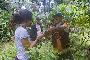 lupuna jungle tours and expeditions